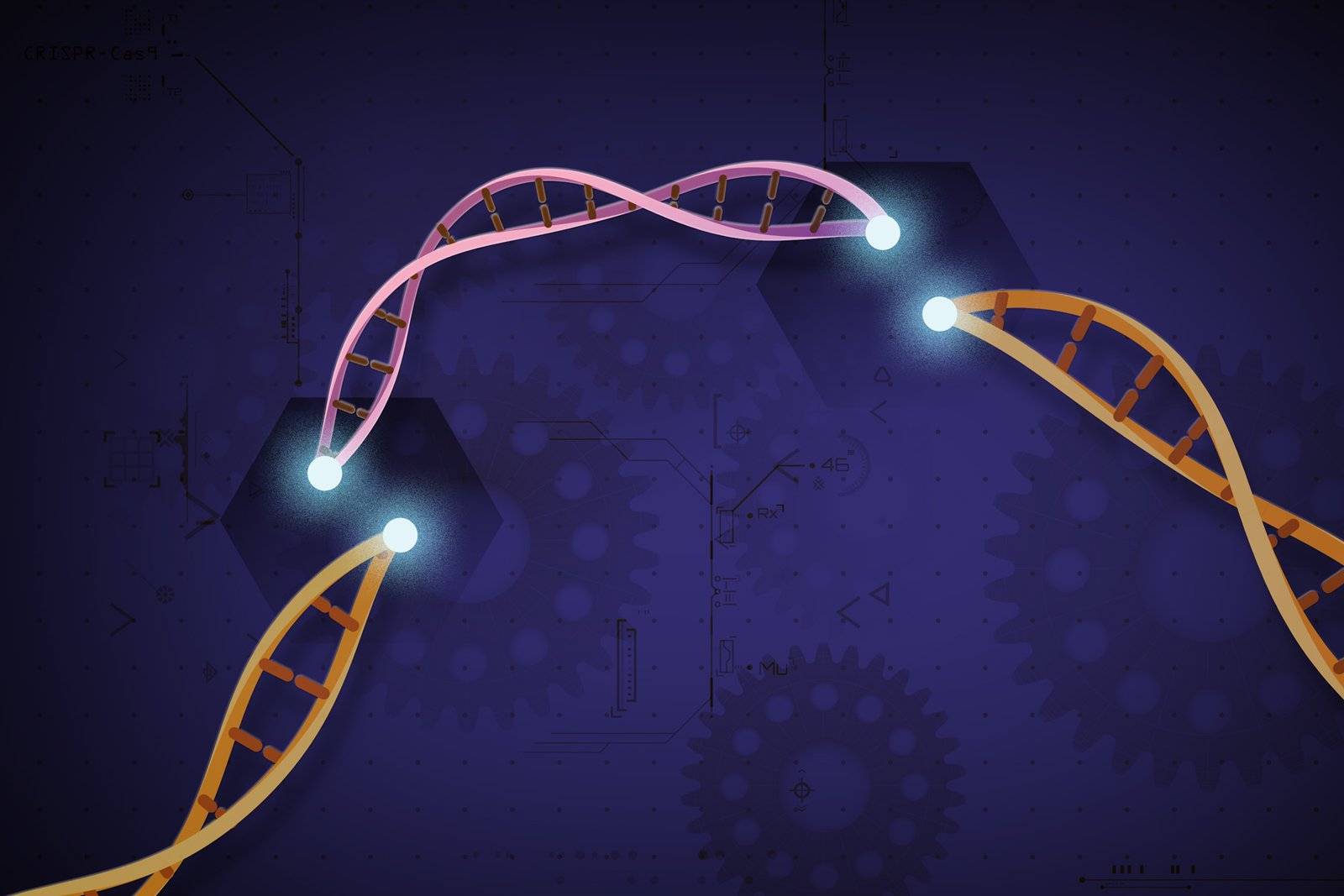 Illustration of the CRISPR-Cas9 system acting as molecular scissors, cutting and splicing strands of DNA